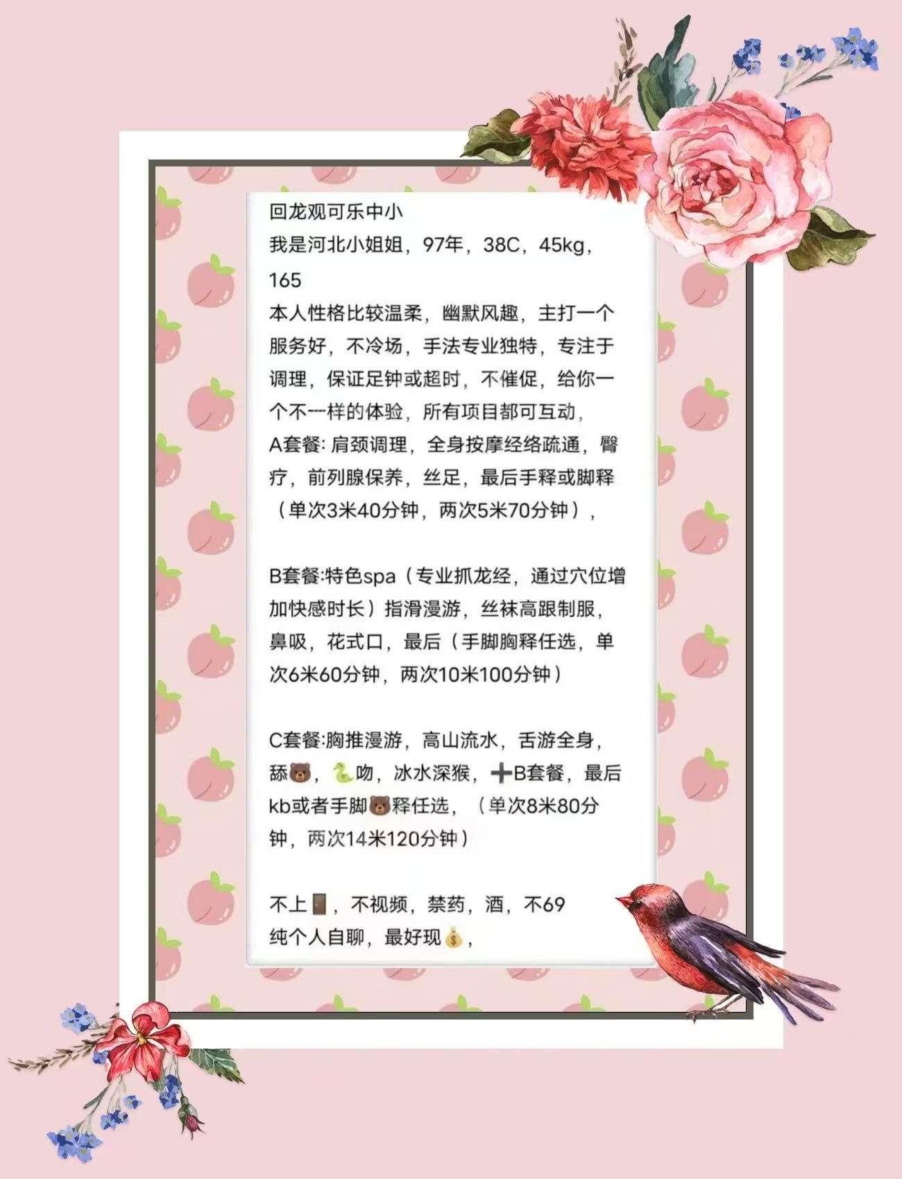 昌平中小服务雨佳