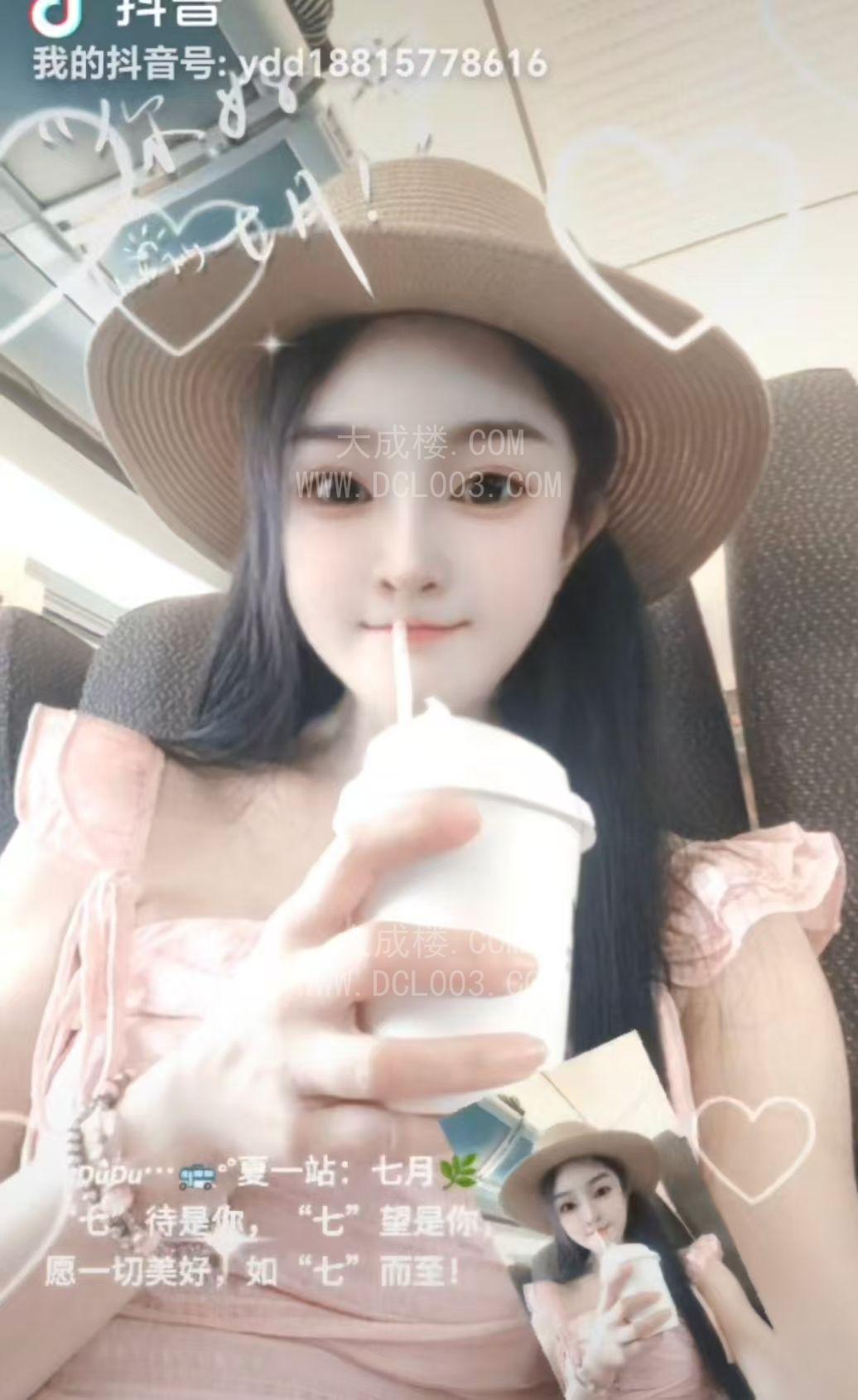 铜陵犬獒天小主