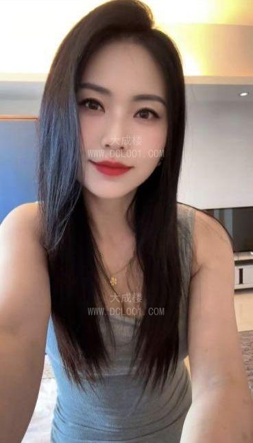 广州花都燕子
