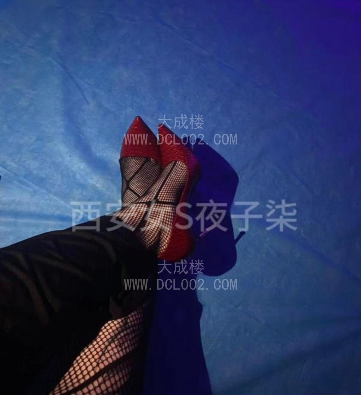 西安bbw子柒女王